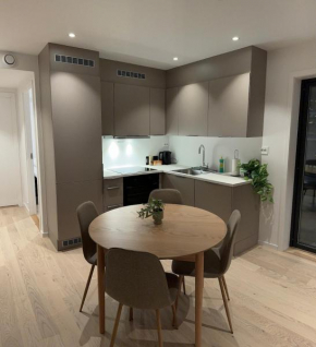 Brand new apartment, close to the city centre, Northern lights, shops